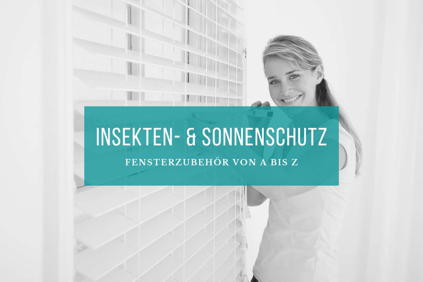 Fensterbau Insekten- und Sonnenschutz
